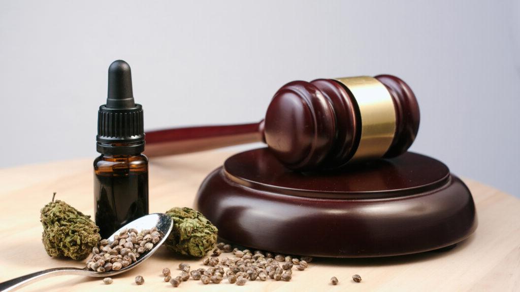大麻、大麻和大麻制品放在法庭桌上，配有法官的小木槌. 违法犯罪概念.