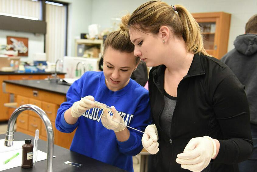 2 students study an open petri dish.